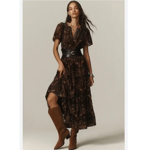 chinese dress ladies By Anthropologie Somerset Velvet Maxi Dress Size XSP – C&J Collections  Chicago main image 0